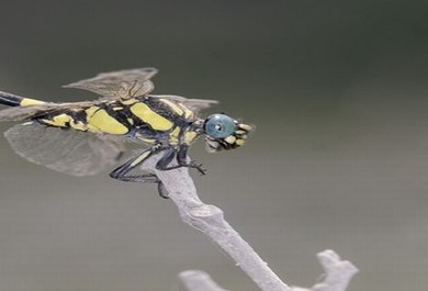 医院实拍生孩子视频