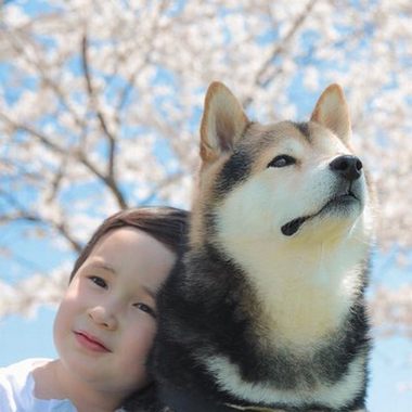 必应搜索引擎