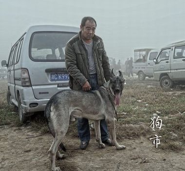 狂飙剧情介绍